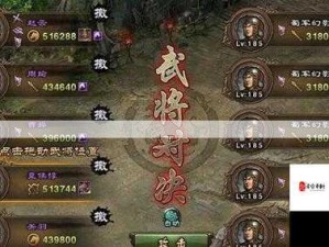 攻城掠地武将招募之道，策略解析与实战指南