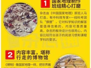 源战役宠物提升攻略，资源管理关键性及高效提升策略